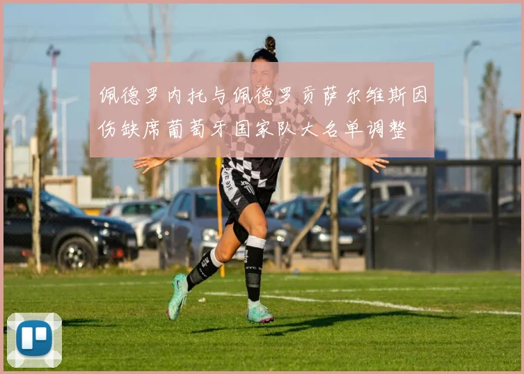 佩德罗内托与佩德罗贡萨尔维斯因伤缺席葡萄牙国家队大名单调整
